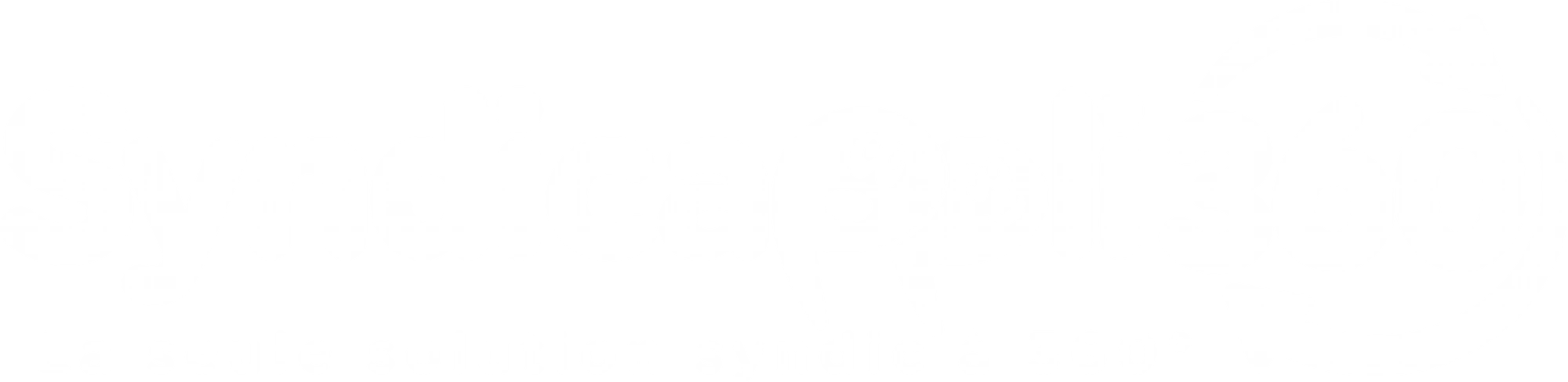 Syndicappli